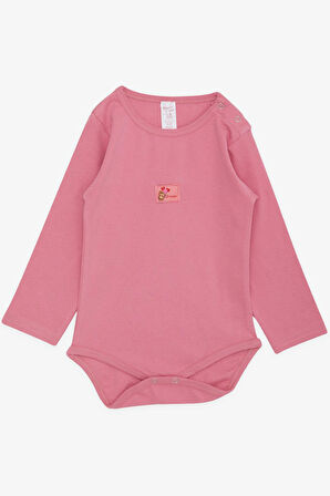 Breeze Kız Bebek Çıtçıtlı Zıbın Body Sevimli Balonlu Ayıcık Baskılı 9 Ay-3 Yaş, Gülkurusu