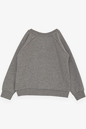 Breeze Erkek Çocuk Sweatshirt Sevimli Ayıcık Baskılı Kulakları Hareketli 2-6 Yaş, Koyu Gri Melanj