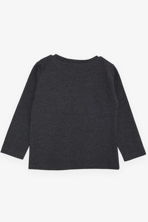 BREEZE GİRLS & BOYS Erkek Çocuk Uzun Kollu Tişört Şapkalı Havalı Aslancık Baskılı 1-4 Yaş, Koyu Gri Melanj