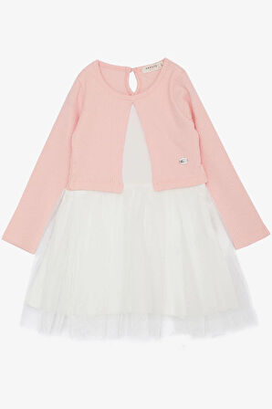 Breeze Kız Çocuk Uzun Kollu Elbise Tüllü 3-8 Yaş, Somon