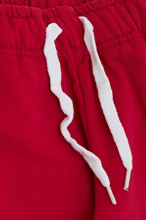 Breeze Kız Çocuk Alt Sevimli Dinozor & Kelebek Nakış Baskılı 1-4 Yaş, Fuşya