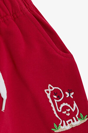 Breeze Kız Çocuk Alt Sevimli Dinozor & Kelebek Nakış Baskılı 1-4 Yaş, Fuşya