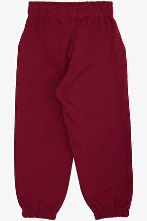 Breeze Kız Çocuk Alt Sevimli Dinozor & Kelebek Nakış Baskılı 1-4 Yaş, Vişne Çürüğü