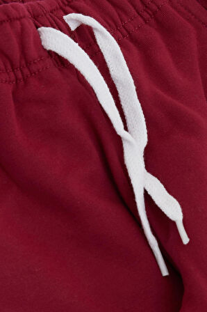 Breeze Kız Çocuk Alt Sevimli Dinozor & Kelebek Nakış Baskılı 1-4 Yaş, Vişne Çürüğü