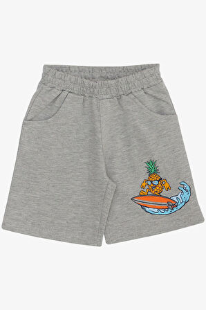 Breeze Erkek Çocuk Şort Takım Yaz Temalı Sörfçü Ananas Baskılı 3-7 Yaş, Açık Mavi