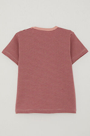 Breeze Kız Çocuk Tişört Patlı Çizgili 1-4 Yaş, Gülkurusu