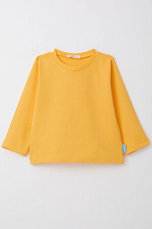 Breeze Erkek Çocuk Uzun Kollu Tişört Basic 1-4 Yaş, Sarı