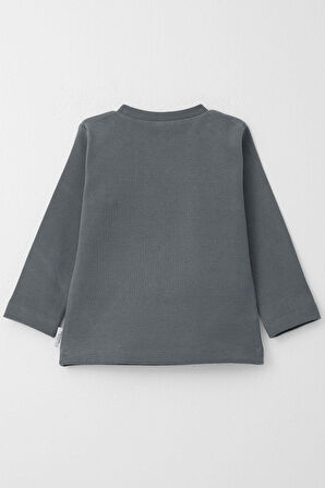 Breeze Erkek Çocuk Uzun Kollu Tişört Basic 1-4 Yaş, Gri