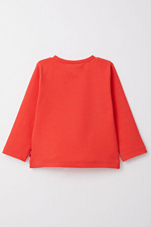 Breeze Erkek Çocuk Uzun Kollu Tişört Basic 1-4 Yaş, Narçiçeği