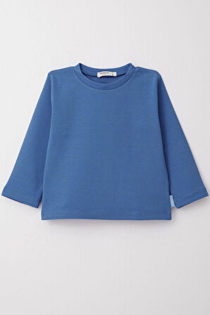 Breeze Erkek Çocuk Uzun Kollu Tişört Basic 1-4 Yaş, Mavi