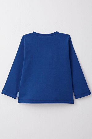 Breeze Erkek Çocuk Uzun Kollu Tişört Basic 1-4 Yaş, Saks Mavisi