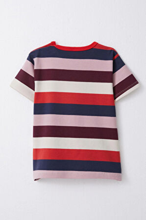 Breeze Kız Çocuk Tişört Patlı Çizgili 1-4 Yaş, Karışık Renk