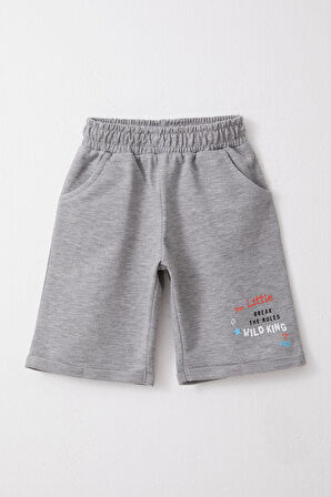 Breeze Erkek Çocuk Şortlu Takım Kral Aslancık Baskılı 1-4 Yaş, Yeşil