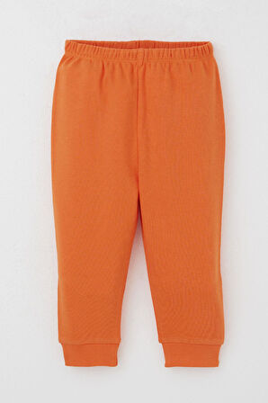 Breeze Erkek Bebek Pijama Takımı Sevimli Renkli Tilkicikler 4 Ay-1 Yaş, Gri