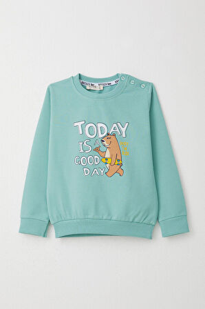 Breeze Erkek Çocuk Eşofman Takım Kaykaycı Ayıcık Baskılı 1-4 Yaş, Su Yeşili