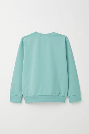 Breeze Erkek Çocuk Eşofman Takım Kaykaycı Ayıcık Baskılı 1-4 Yaş, Su Yeşili