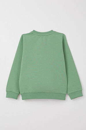 Breeze Erkek Çocuk Eşofman Takım Sevimli Dinozor Baskılı 1-4 Yaş, Mint Yeşili