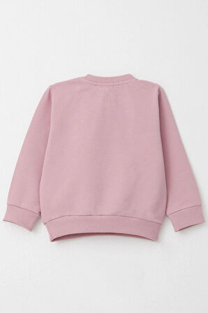 Breeze Kız Bebek Şalvar Tipi Eşofman Takım Kedicik Nakışlı 6 Ay-2 Yaş, Gülkurusu