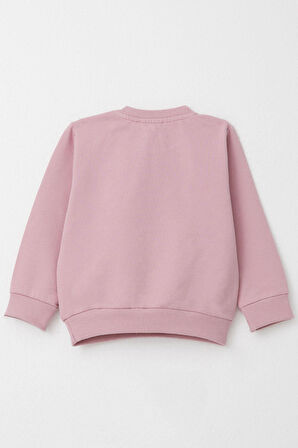 Breeze Kız Bebek Şalvar Tipi Eşofman Takım Kedicik Nakışlı 6 Ay-2 Yaş, Gülkurusu