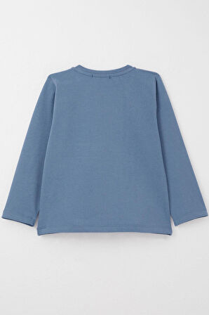 Breeze Erkek Bebek Uzun Kollu Tişört Havalı Ayıcık Nakışlı 9 Ay-3 Yaş, İndigo