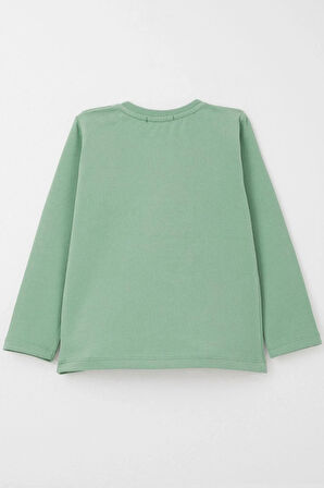 Breeze Erkek Bebek Uzun Kollu Tişört Havalı Ayıcık Nakışlı 9 Ay-3 Yaş, Mint Yeşili