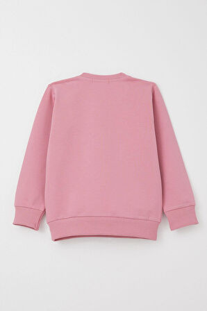 Breeze Kız Bebek Eşofman Takım Sevimli Ayıcık Nakışlı Çiçekli 9 Ay-3 Yaş, Gülkurusu