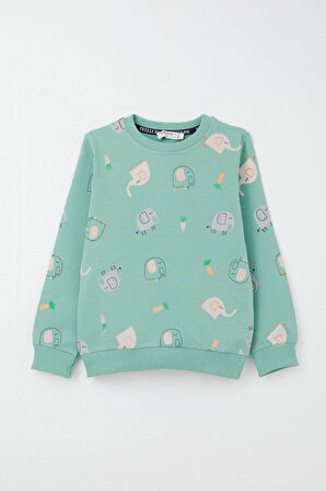 Breeze Erkek Çocuk Eşofman Takım Sevimli Fil Desenli 1-4 Yaş, Su Yeşili