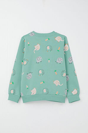 Breeze Erkek Çocuk Eşofman Takım Sevimli Fil Desenli 1-4 Yaş, Su Yeşili