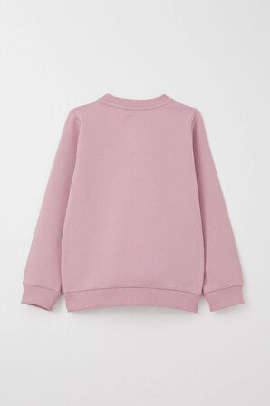 Breeze Kız Çocuk Eşofman Takım Sevgi Temalı Yazı Nakışlı 1-4 Yaş, Gülkurusu