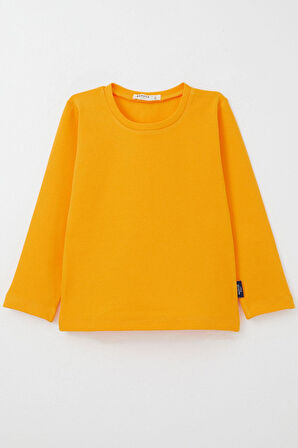 Breeze Erkek Bebek Uzun Kollu Tişört Basic 9 Ay-3 Yaş, Hardal Sarı