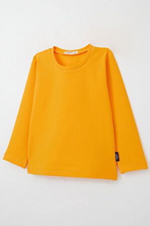 Breeze Erkek Bebek Uzun Kollu Tişört Basic 9 Ay-3 Yaş, Hardal Sarı