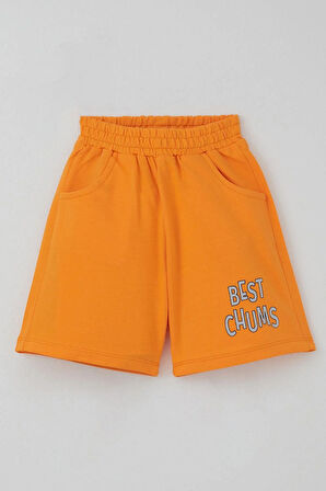 Breeze Erkek Çocuk Şortlu Takım Mavi Dünyanın Kahramanları 1.5-5 Yaş, Açık Gri Melanj