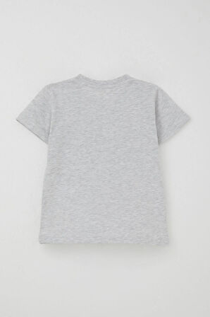 Breeze Erkek Çocuk Şortlu Takım Yaz Temalı Sörfçü Köpekçik Baskılı 2-6 Yaş, Açık Gri Melanj