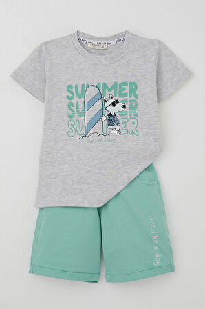 Breeze Erkek Çocuk Şortlu Takım Yaz Temalı Sörfçü Köpekçik Baskılı 2-6 Yaş, Açık Gri Melanj