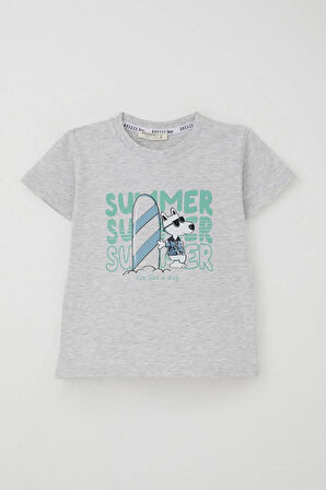 Breeze Erkek Çocuk Şortlu Takım Yaz Temalı Sörfçü Köpekçik Baskılı 2-6 Yaş, Açık Gri Melanj