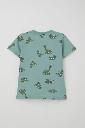 Breeze Erkek Çocuk Şortlu Takım Zıp Zıp Dinozor Takımı 2-6 Yaş, Su Yeşili