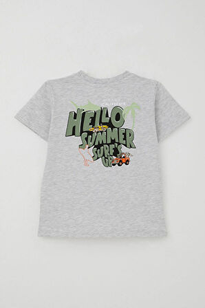 Breeze Erkek Çocuk Şortlu Takım Yaz Temalı Sörf Macerası 3-8 Yaş, Açık Gri Melanj