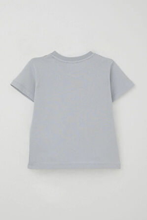 Breeze Erkek Çocuk Şortlu Takım Güçlü Dinozorlar Baskılı 3-8 Yaş, Gri