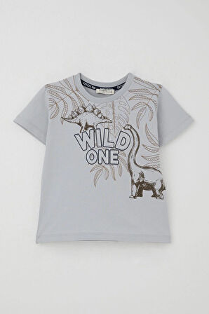 Breeze Erkek Çocuk Şortlu Takım Güçlü Dinozorlar Baskılı 3-8 Yaş, Gri