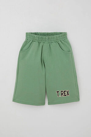 Breeze Erkek Çocuk Şortlu Takım Güçlü Dinozor Baskılı Kısa Kollar Büyük Güç 4-9 Yaş, Bej