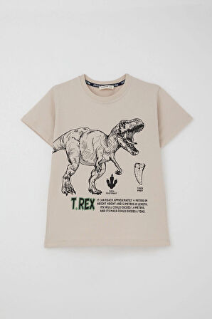 Breeze Erkek Çocuk Şortlu Takım Güçlü Dinozor Baskılı Kısa Kollar Büyük Güç 4-9 Yaş, Bej