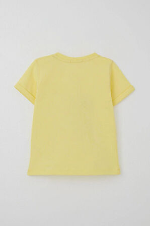 Breeze Erkek Çocuk Şortlu Takım Paten Gösterisi Yapan Dinozor Baskılı 1-4 Yaş, Sarı