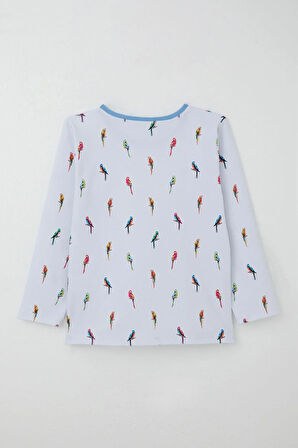 Breeze Erkek Çocuk Pijama Takımı Renkli Papağan Desenli 4-8 Yaş, Buz Mavisi