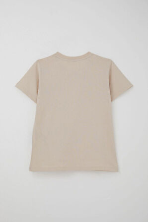 Breeze Erkek Çocuk Şortlu Takım Jetski Tutkunu Havalı Dinozor Baskılı 5-9 Yaş, Bej