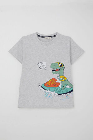 Breeze Erkek Çocuk Şortlu Takım Jetski Tutkunu Havalı Dinozor Baskılı 5-9 Yaş, Açık Gri Melanj