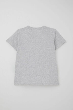 Breeze Erkek Çocuk Şortlu Takım Jetski Tutkunu Havalı Dinozor Baskılı 5-9 Yaş, Açık Gri Melanj