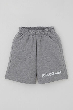 Breeze Erkek Çocuk Şortlu Takım Sırt Kısmı Sörfçü Dinozor Baskılı 2-6 Yaş, Açık Mavi