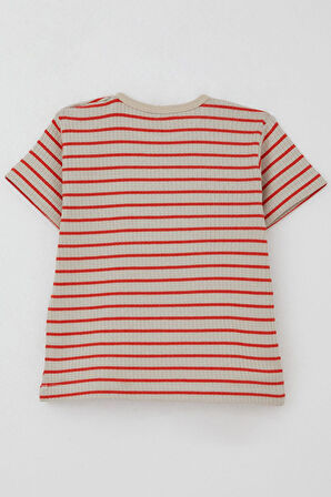 Breeze Erkek Çocuk Tişört Patlı Çizgili 1-4 Yaş, Bej