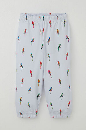 Breeze Erkek Çocuk Pijama Takımı Renkli Papağan Desenli 1-3 Yaş, Buz Mavisi