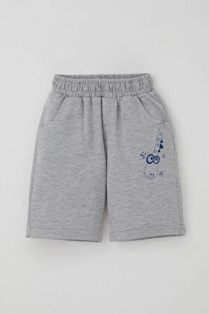 Breeze Erkek Çocuk Şortlu Takım Kaykaycı Dinozor Baskılı Cep Kısmı Kapak Detaylı 2-6 Yaş, Kiremit